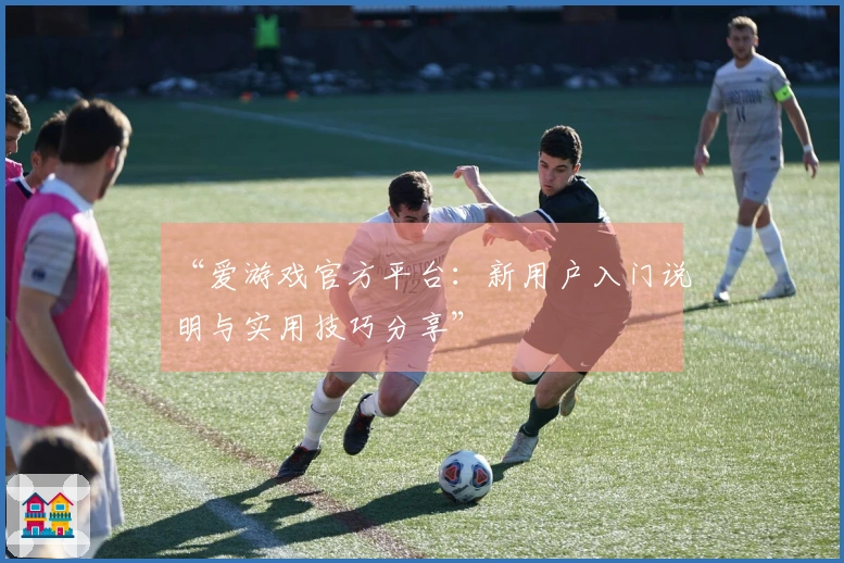 “爱游戏官方平台：新用户入门说明与实用技巧分享”