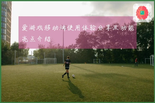 爱游戏移动端使用体验分享及功能亮点介绍
